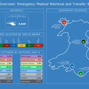 EMRTS 2024 Year in Review