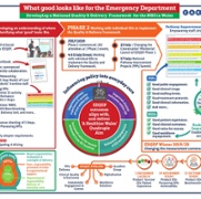 2.5 EDQDF Storyboard EASC 12 Nov 2019.jpg