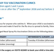 Child nasal flu