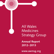 annual report cover 2012-13.PNG