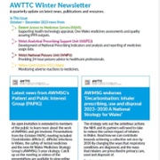 Winter Newsletter front page English.JPG