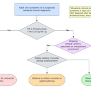 CP FIT Flowchart.png