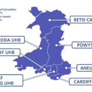 Health Boards map.png