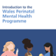 Intro to PNMH program cover with three women, with a split dark blue and white background which says introduction to the Wales perinatal mental health program
