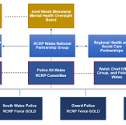 RCRP Organogram - ENG.png