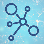 Network structures.png