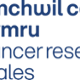 Cancer Research Wales Logo in blue