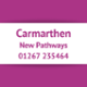 Carmarthen New Pathways 01267 235464