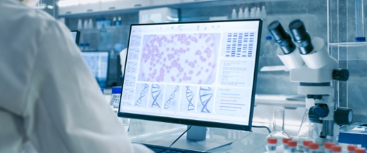 Laboratory screen showing the Human DNA Helix