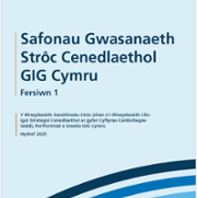 Stroke service standards cover Cy.png