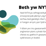 Beth yw NYTH.png