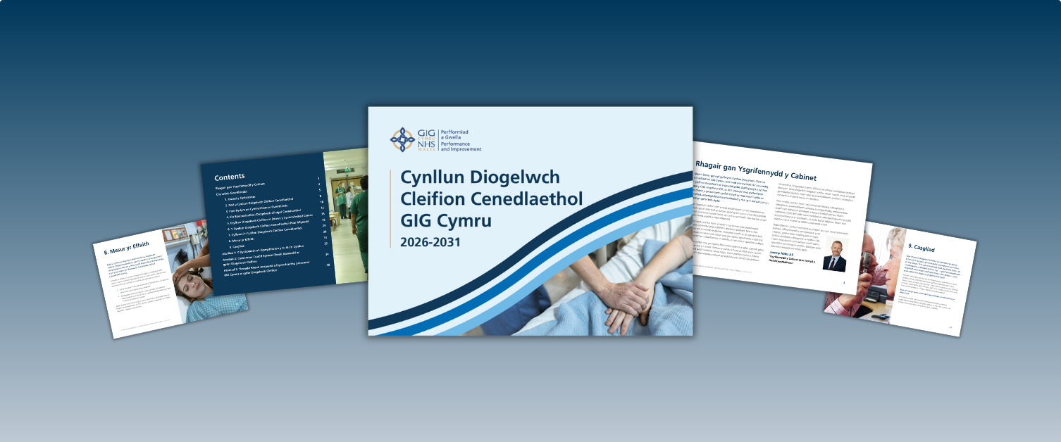 A selection of pages from the National Patient Safety Plan.