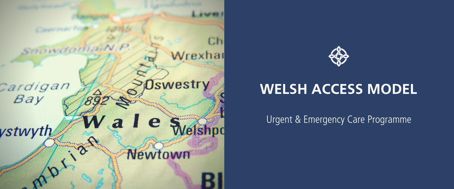 Welsh Access Model Placeholder